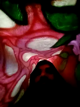 Nightservice27 online show from 22, 2, 2025