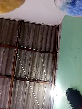 -Nicol online show from 13, 9, 2025