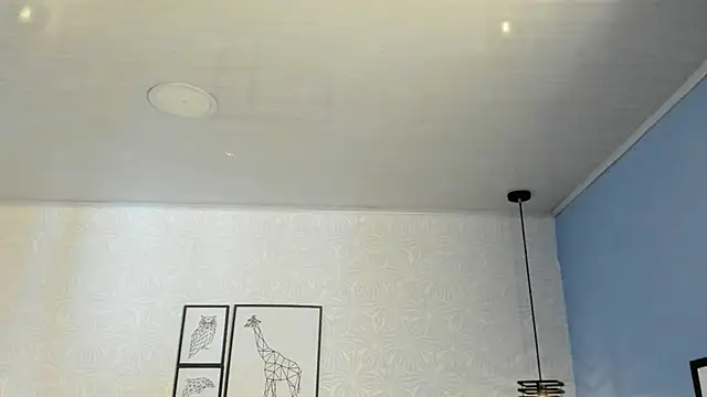 ninna curly online show from 13, 3, 2026