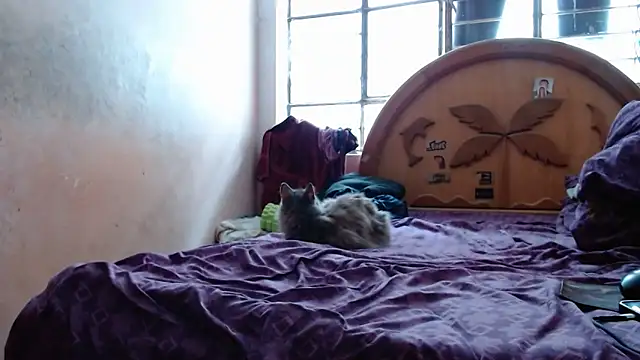 nakedlima online show from 15, 10, 2025