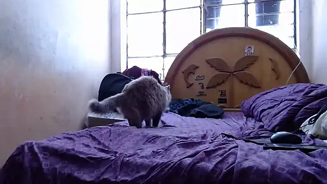 nakedlima online show from 31, 10, 2025