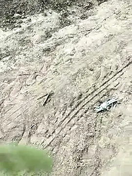 xmanrawan2 online show from 12, 3, 2025