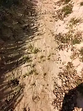 xmanrawan2 online show from 24, 2, 2026