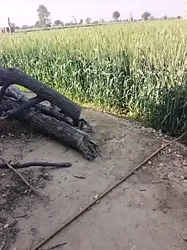 xmanrawan2 online show from 23, 2, 2026