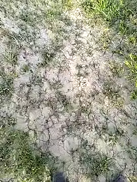 xmanrawan2 online show from 14, 3, 2025