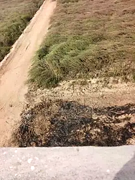 xmanrawan2 online show from 12, 2, 2026