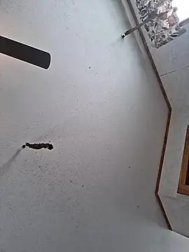 BBWLADY71 online show from 30, 3, 2026