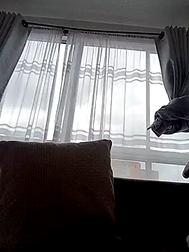 bri ali online show from 8, 3, 2025