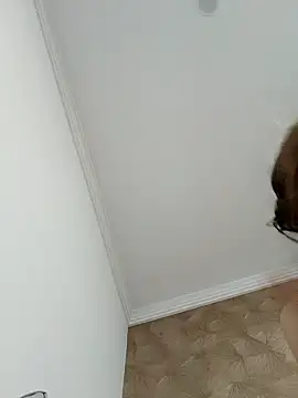 Schweiz SexMachine online show from 5, 2, 2025