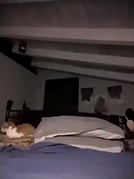 Snapshot of divinaerotica chatting on 17, 11, 2025 divinaerotica online show from 17, 11, 2025