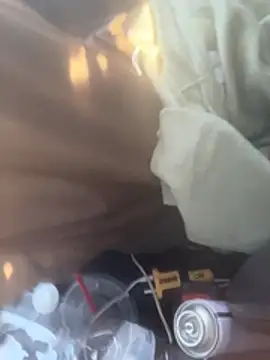 kcmo1010 online show from 5, 3, 2026