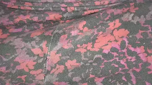 littleman124 online show from 31, 1, 2025