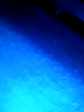 wadmma online show from 13, 3, 2026