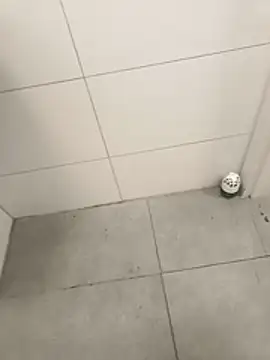 wadmma online show from 3, 4, 2026