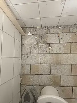 Snapshot of wadmma chatting on 19, 11, 2025 wadmma online show from 19, 11, 2025