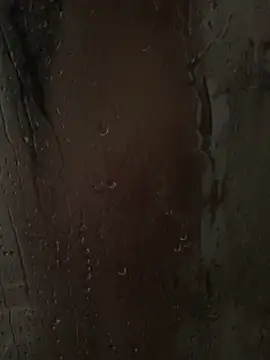 RussNocturnal online show from 1, 3, 2025