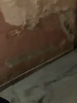 RussNocturnal online show from 27, 2, 2025