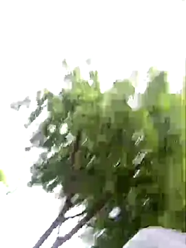 arevalo1124 online show from 26, 11, 2025