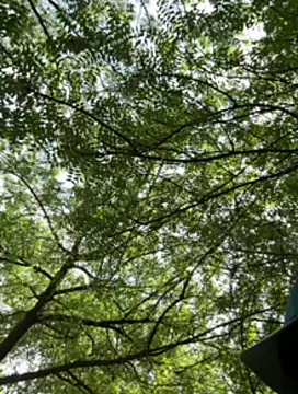 arevalo1124 online show from 23, 11, 2025