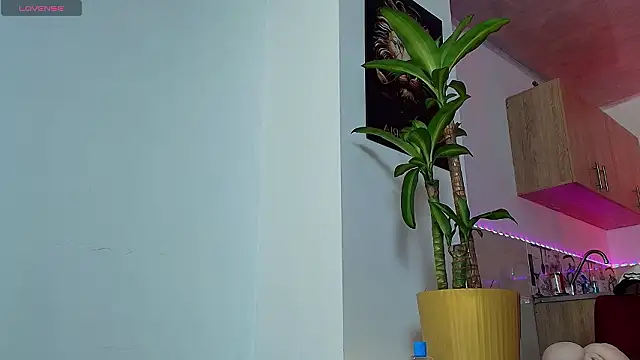 Dwayne Brown online show from 8, 3, 2026