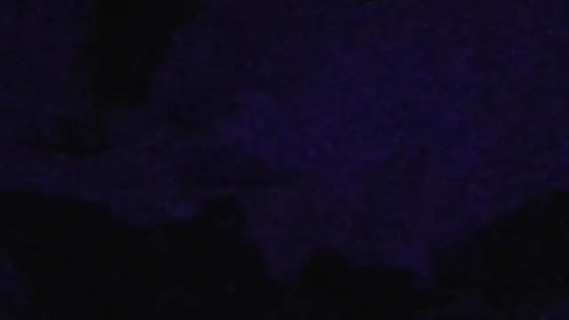 cruz815 online show from 20, 9, 2025