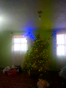 KellyPerlaxxx online show from 19, 12, 2025