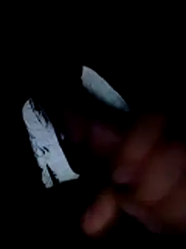 SeatedToxemia online show from 9, 11, 2025