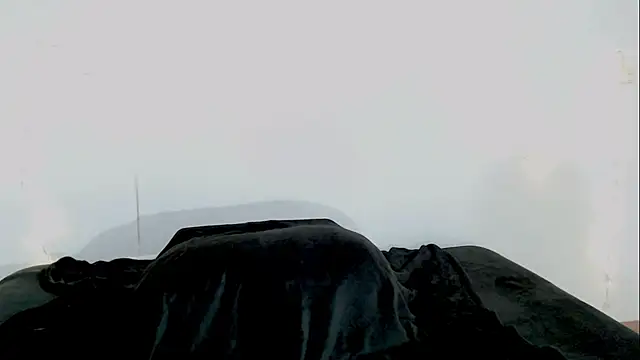 Carlin Diaz online show from 25, 3, 2026