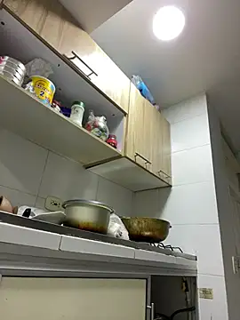 stefania brunnett online show from 18, 3, 2025