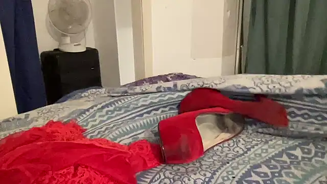 shineofcrazy online show from 12, 9, 2025