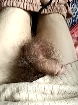 LustHaven-Sigma online show from 6, 2, 2025