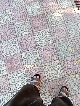 NAvoglia online show from 6, 4, 2026