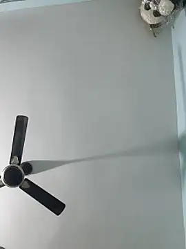 Babybird online show from 10, 2, 2025