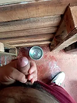 HotC1991 online show from 8, 1, 2026