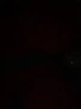 PINO pino 01 online show from 12, 11, 2025