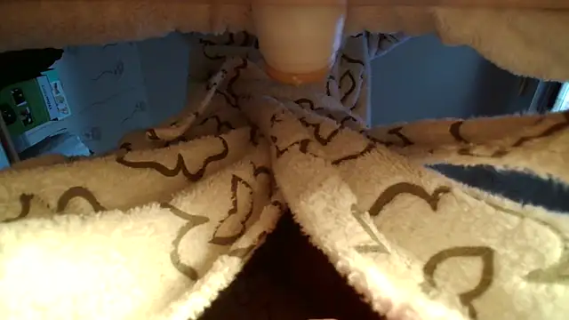 balkis30 online show from 10, 9, 2025