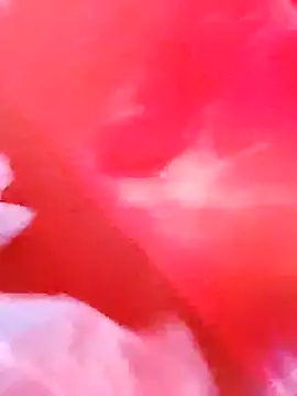 dominationmybigdick online show from 3, 12, 2025