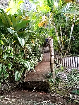 Dracoandr online show from 1, 12, 2025