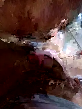 Dvfxxh online show from 19, 4, 2026