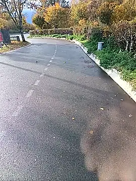 Dam70 online show from 22, 10, 2025