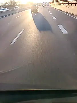 Dam70 online show from 4, 12, 2025