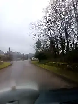 Dam70 online show from 11, 1, 2026