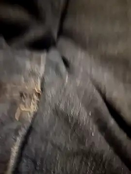 Dam70 online show from 2, 11, 2025