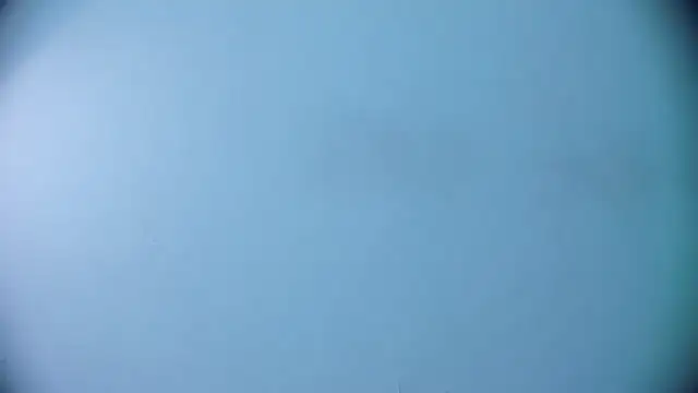 Ashlyaurora online show from 19, 3, 2025