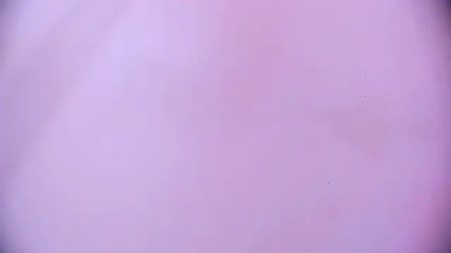 Ashlyaurora online show from 11, 3, 2025