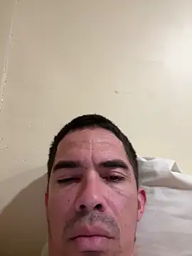 aleds17668 online show from 11, 3, 2025