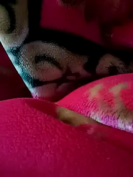 Arabian online show from 27, 2, 2025