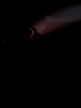 Arabian online show from 8, 11, 2025