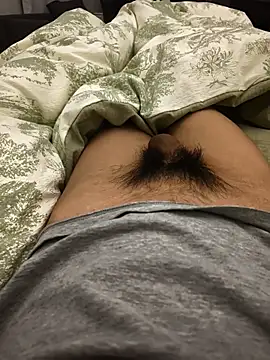 xingyintaidi online show from 21, 11, 2025