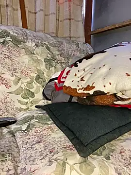 blondiebbc online show from 1, 4, 2026